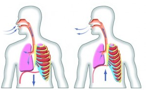 breathing-clipart